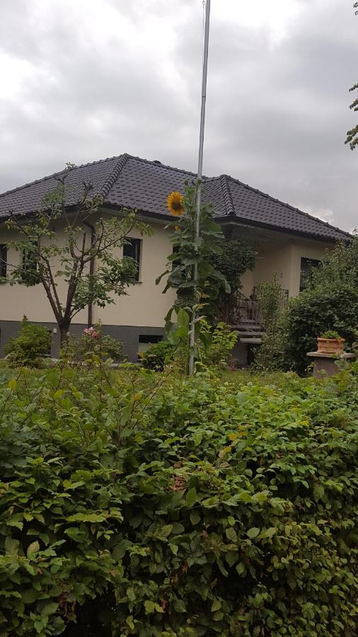 Ferienwohnung "Am Fechtertor- Eingang Zum Schlosspark" Putbus Dış mekan fotoğraf